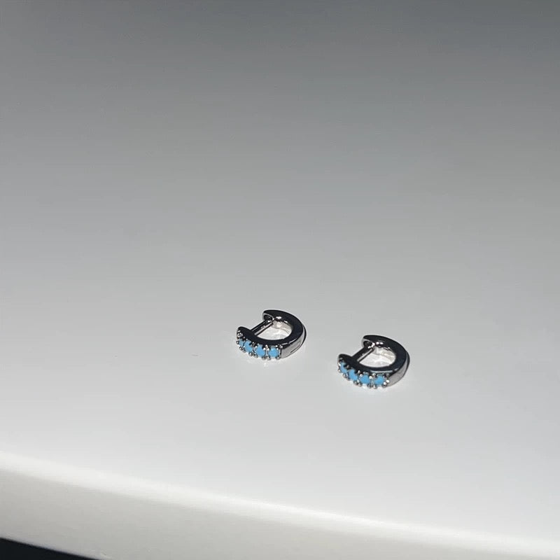 Signature Turquoise Earring King