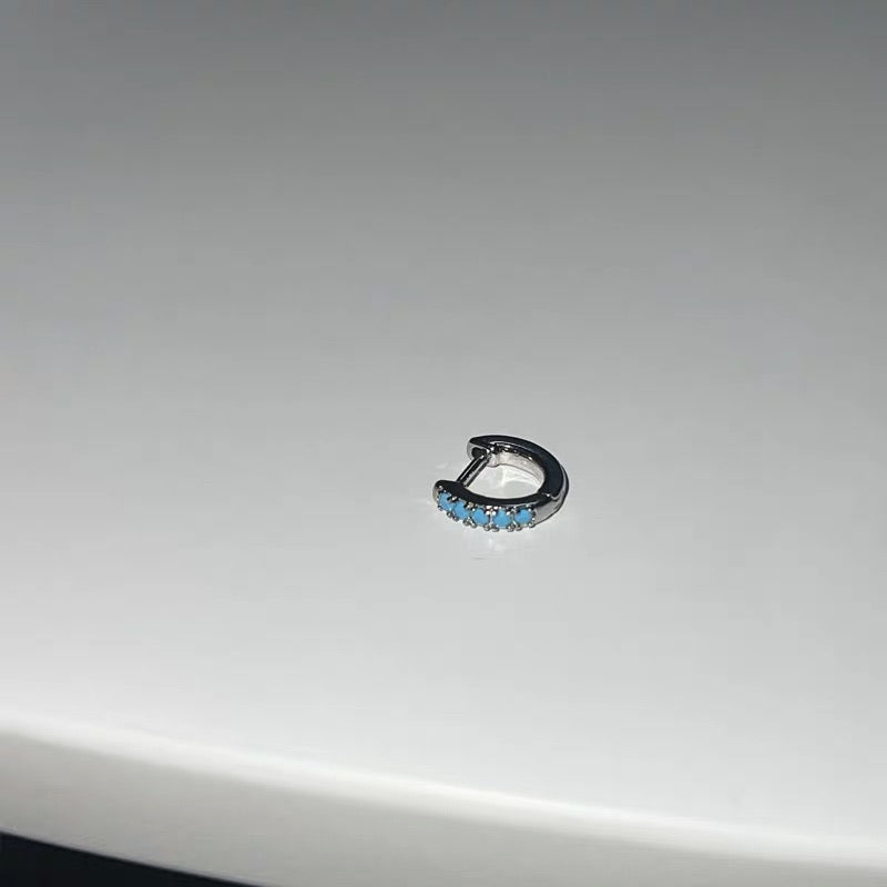 Signature Turquoise Earring King