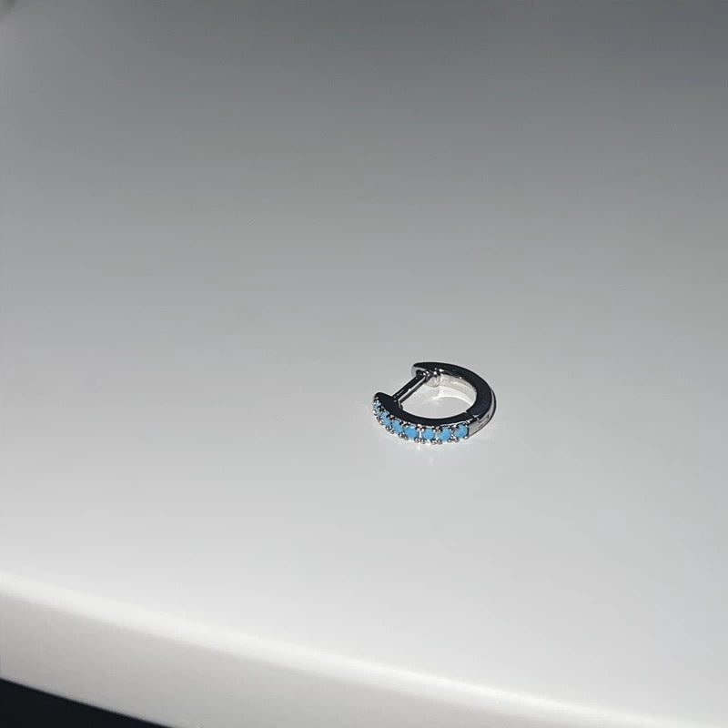 Signature Turquoise Earring King