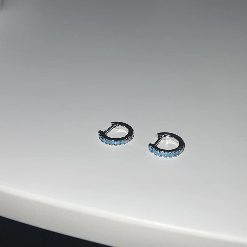 Signature Turquoise Earring King